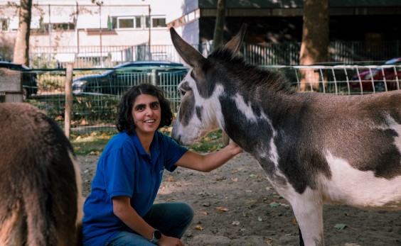 De vrijwilligers zijn erg belangrijk voor Stichting Knuffelkonijntjes | Fotografie: Sheena Schouwink