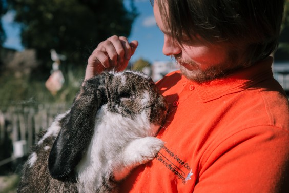 De knuffelkonijnen | Fotografie: Sheena Schouwink