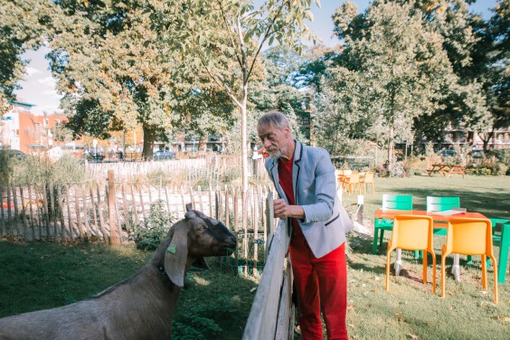 De geiten bij Dierenweide Dieze Oost | Fotografie: Sheena Schouwink