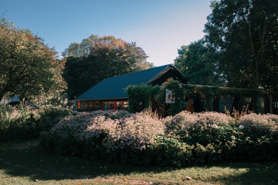 Welkom bij Stichting Knuffelkonijntjes | Fotografie: Sheena Schouwink