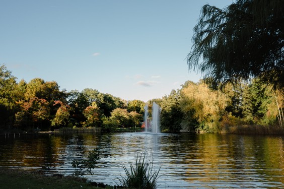 Kijktuin Amstelpark Amsterdam | Fotografie: Sheena Schouwink