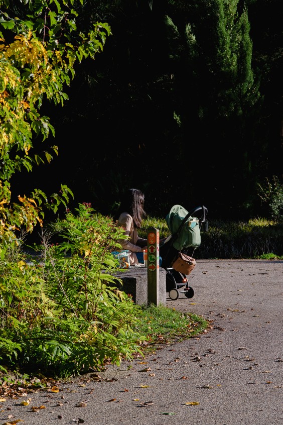 Kijktuin Amstelpark Amsterdam | Fotografie: Sheena Schouwink