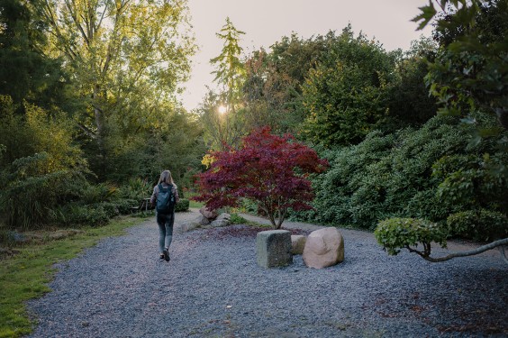 Kijktuin Amstelpark Amsterdam | Fotografie: Sheena Schouwink