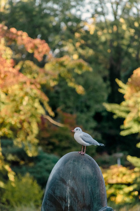 Kijktuin Amstelpark Amsterdam | Fotografie: Sheena Schouwink