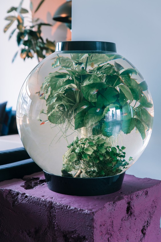 Kleurrijk jaren 80 design met diepe en felle kleuren in huis en in de badkamer | Foto Sheena Schouwink