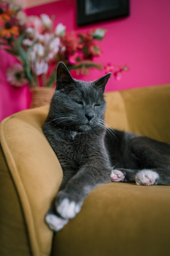 Interieur Begijnhof Amsterdam | Fotografie: Sheena Schouwink