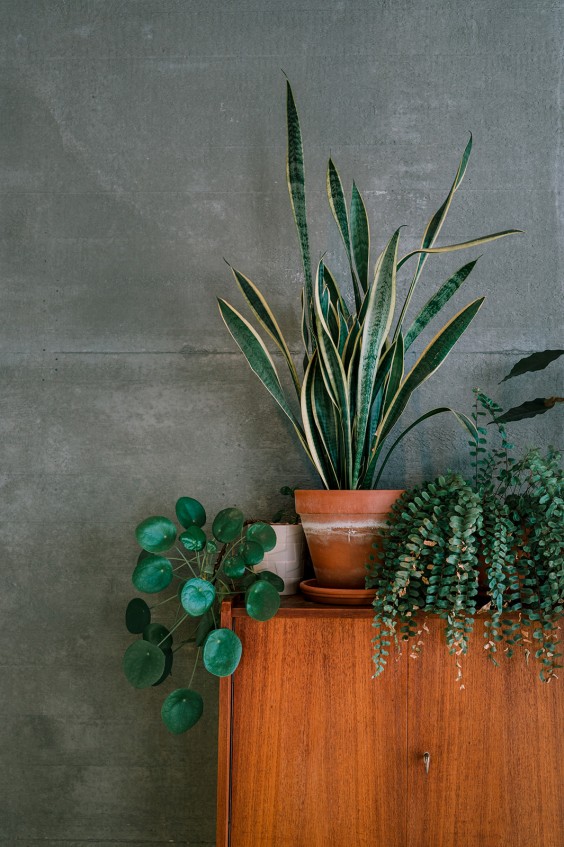 Duurzame villa Blaricum interieur | Fotografie: Sheena Schouwink