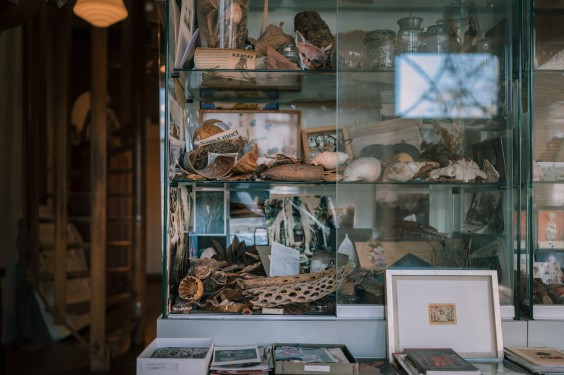 Interieur Edam | Fotografie: Sheena Schouwink