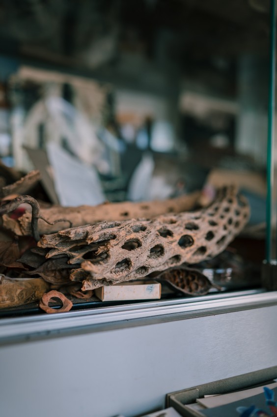 Interieur Edam | Fotografie: Sheena Schouwink