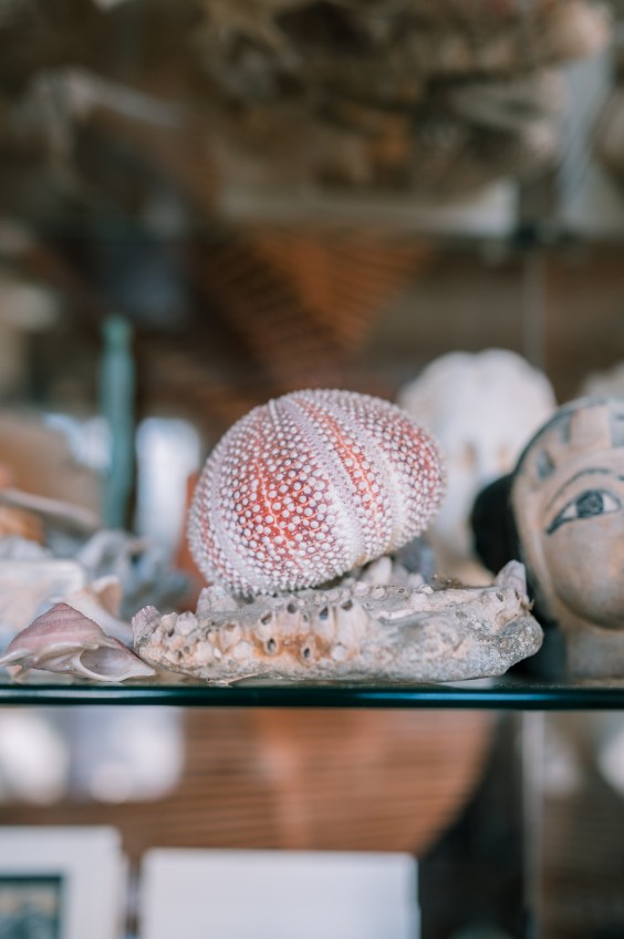 Interieur Edam | Fotografie: Sheena Schouwink