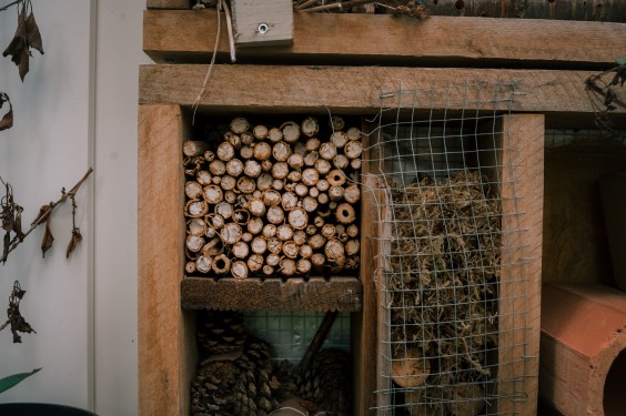 Guerilla Gardening - ShotbySheena