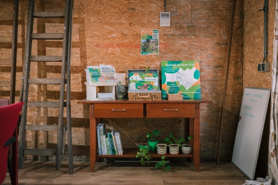 Guerilla Gardening - ShotbySheena