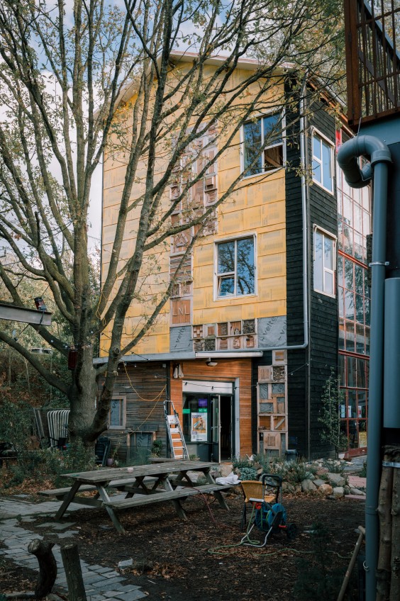 Guerilla Gardening - ShotbySheena