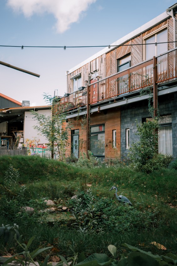 Guerilla Gardening - ShotbySheena