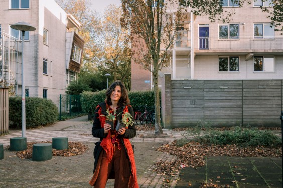 Guerilla Gardening - ShotbySheena