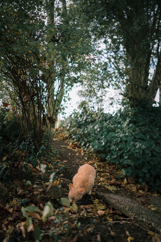 Levenstuinen in Teuge | Fotografie: Sheena Schouwink