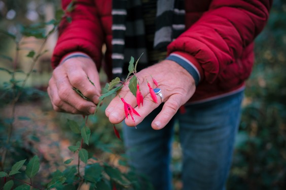 Levenstuinen in Teuge | Fotografie: Sheena Schouwink
