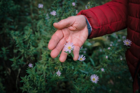 Levenstuinen in Teuge | Fotografie: Sheena Schouwink