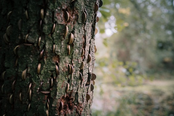Levenstuinen in Teuge | Fotografie: Sheena Schouwink