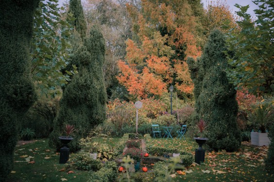 Levenstuinen in Teuge | Fotografie: Sheena Schouwink