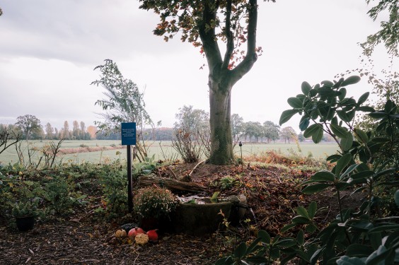 Levenstuinen in Teuge | Fotografie: Sheena Schouwink