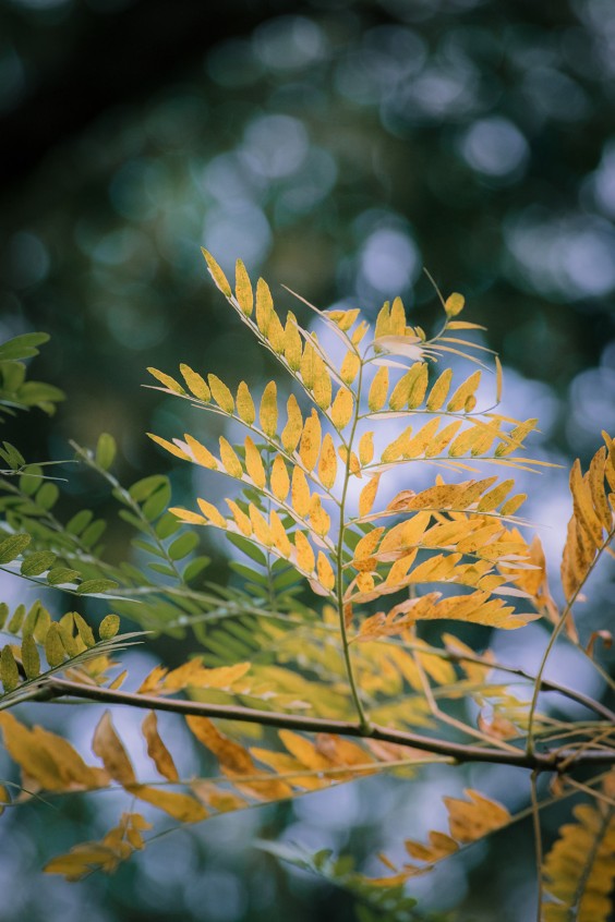 Levenstuinen in Teuge | Fotografie: Sheena Schouwink