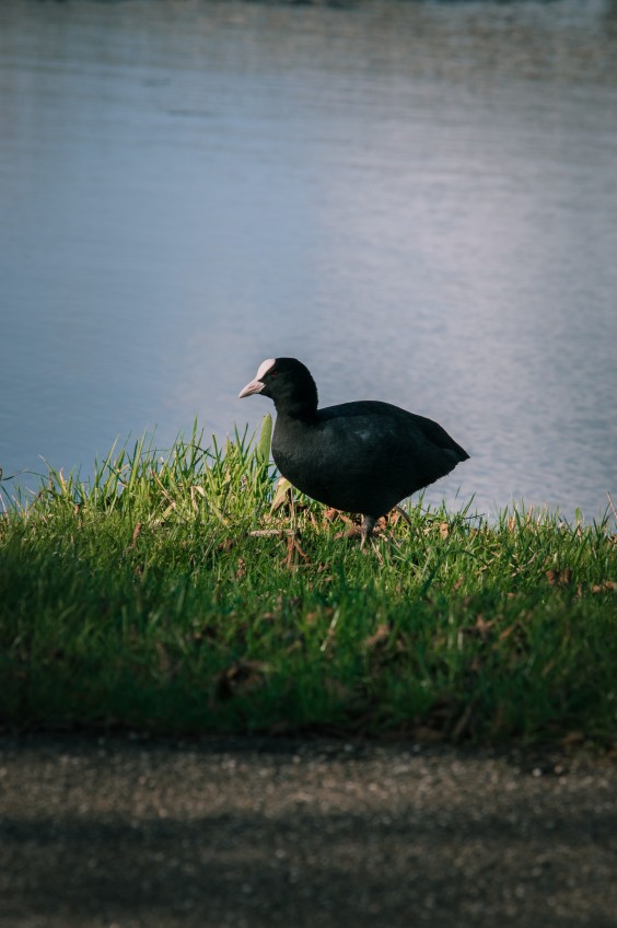 Maximapark Utrecht - ShotbySheena