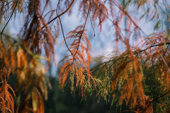 Maximapark Utrecht - ShotbySheena
