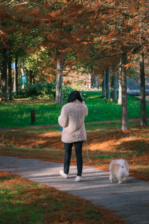 Maximapark Utrecht - ShotbySheena