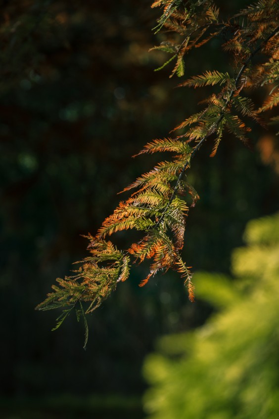 Maximapark Utrecht - ShotbySheena