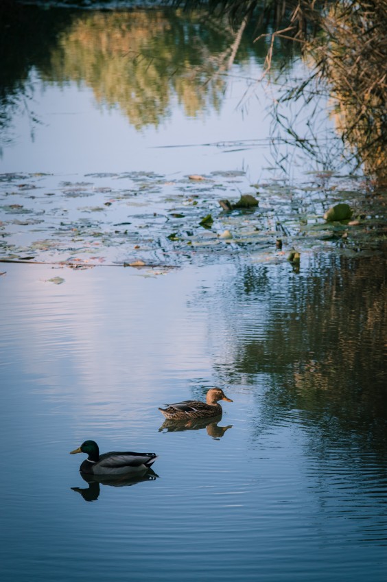Maximapark Utrecht - ShotbySheena