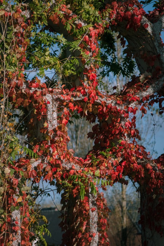 Maximapark Utrecht - ShotbySheena