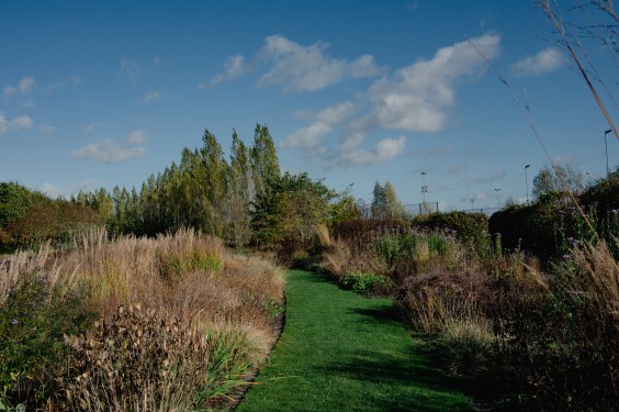 Vlinderhof Utrecht | Fotografie: Sheena Schouwink