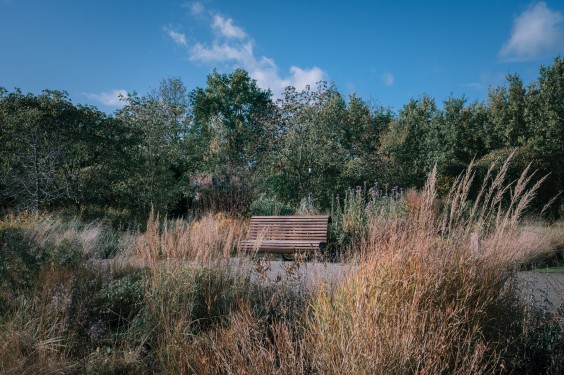 Vlinderhof Utrecht | Fotografie: Sheena Schouwink