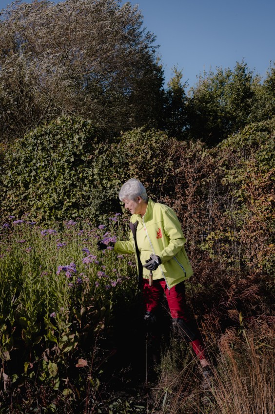 Vlinderhof Utrecht | Fotografie: Sheena Schouwink