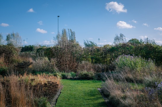 Vlinderhof Utrecht | Fotografie: Sheena Schouwink