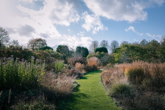 Vlinderhof Utrecht | Fotografie: Sheena Schouwink