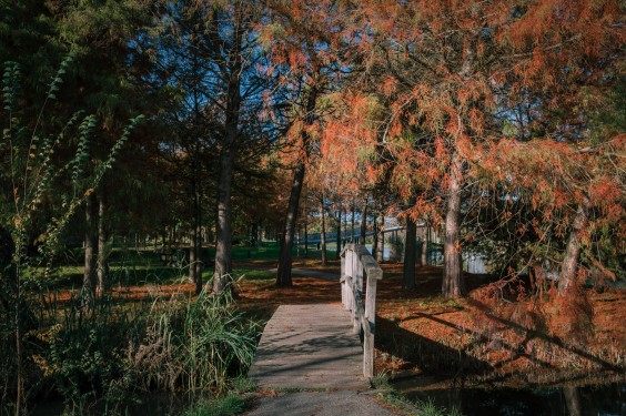 Maximapark Utrecht - ShotbySheena