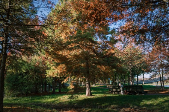 Maximapark Utrecht - ShotbySheena