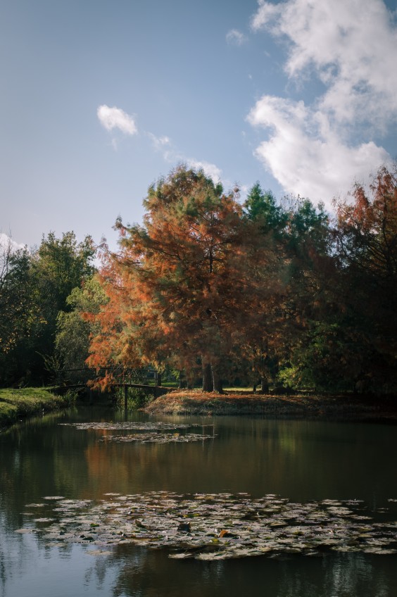 Maximapark Utrecht - ShotbySheena