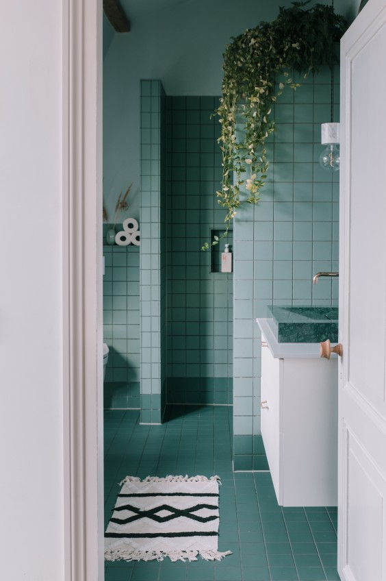 Karakteristiek Zaans huis | Fotografie: Sheena Schouwink