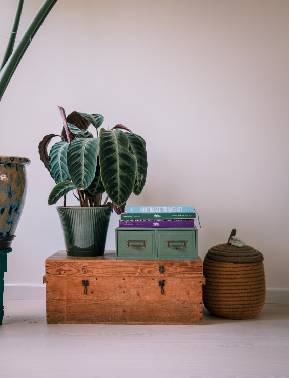 Karakteristiek Zaans huis | Fotografie: Sheena Schouwink