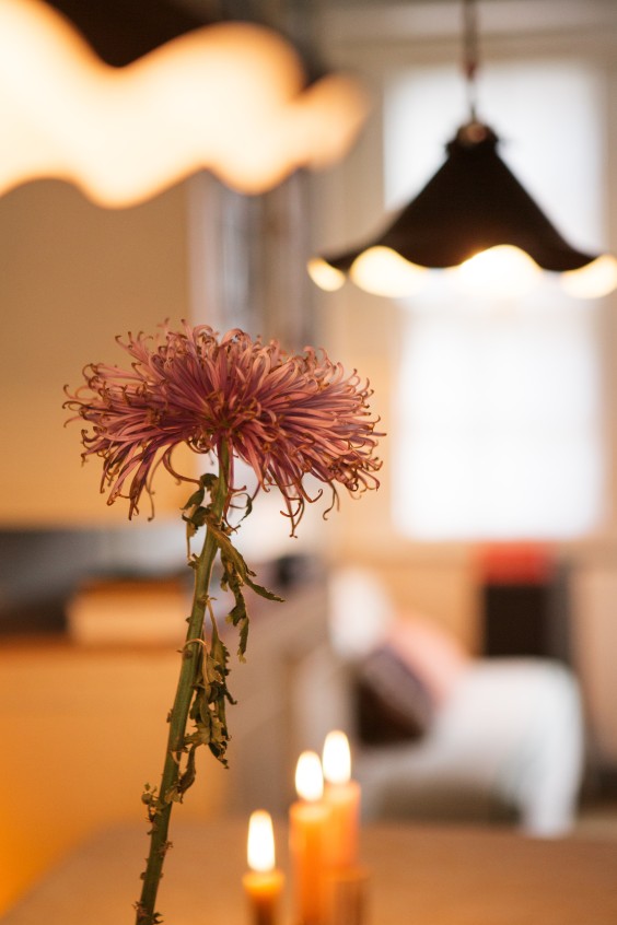 Het Roosenhofje in Amsterdam | Fotografie Roos Eijmers 