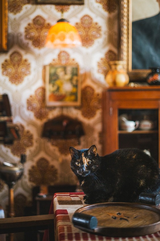 Vintage verzamelingen | Fotografie: Roos Eijmers