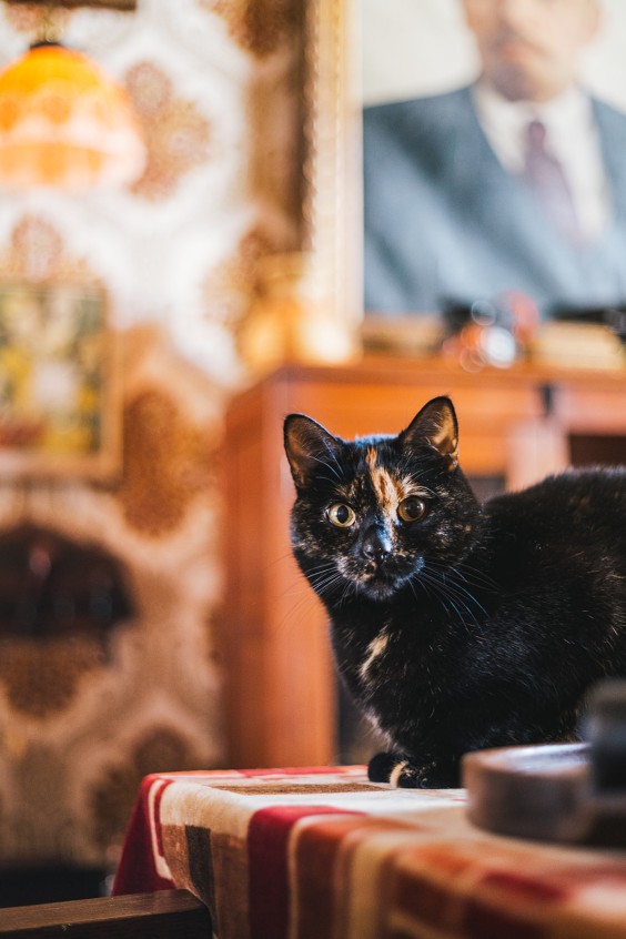 Vintage verzamelingen | Fotografie: Roos Eijmers