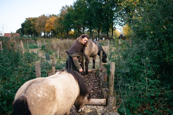 Paardentuin Winssen | Fotografie: Marjon Lukje