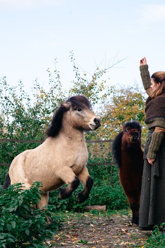 Paardentuin Winssen | Fotografie: Marjon Lukje