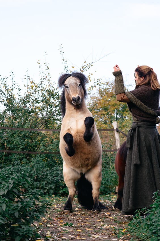 Paardentuin Winssen | Fotografie: Marjon Lukje
