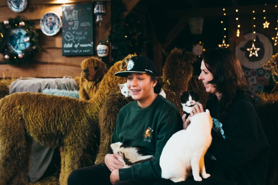 Naast alpaca's worden er ook veel andere dieren opgevangen | Fotografie: Marjon Lukje