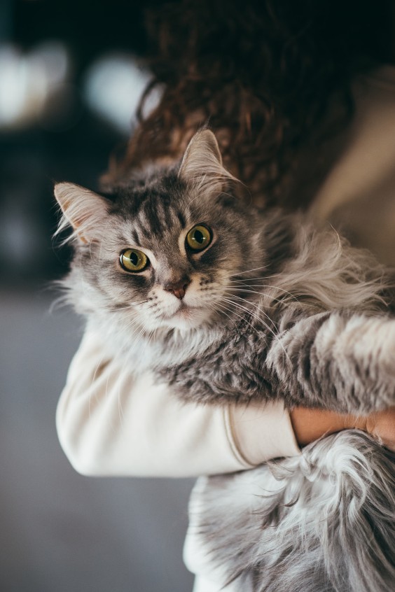 Verbouwd kantoorpand Zwolle | Fotografie: Marjon Lukje